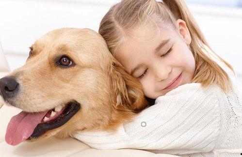 娱乐吃瓜酱小狗吉祥,小狗吉祥的欢乐日常