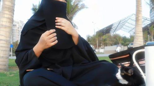 娱乐吃瓜君mv,揭秘娱乐圈幕后故事，带你领略明星真实生活