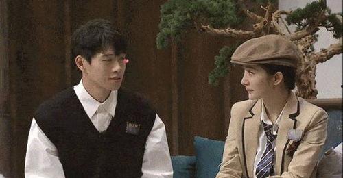 吃瓜者侃娱乐,揭秘娱乐圈幕后故事