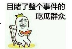 对方发吃瓜怎么回复,揭秘娱乐圈最新热点事件