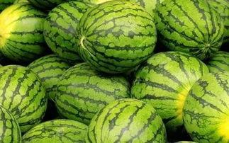 每日吃瓜大赛入口,揭秘娱乐圈幕后风云