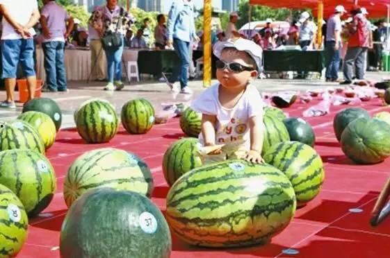 每日吃瓜大赛入口,揭秘娱乐圈幕后风云