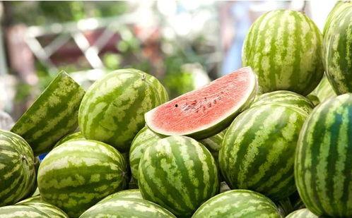 娱乐吃瓜酱属于什么领域,揭秘娱乐圈幕后故事与热点事件