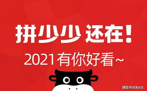 娱乐圈吃瓜的微信公众号,揭秘明星幕后故事，带你领略娱乐圈风云变幻